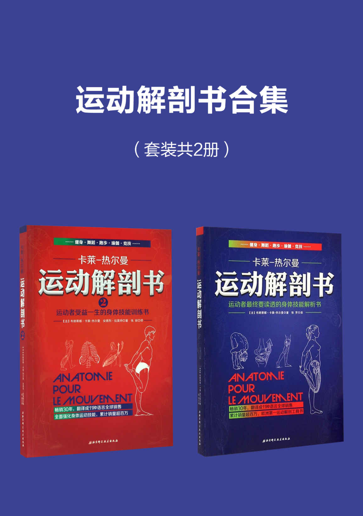 运动解剖书合集：运动者受益一生的身体技能训练书 运动者总要读透的身体技能解析书