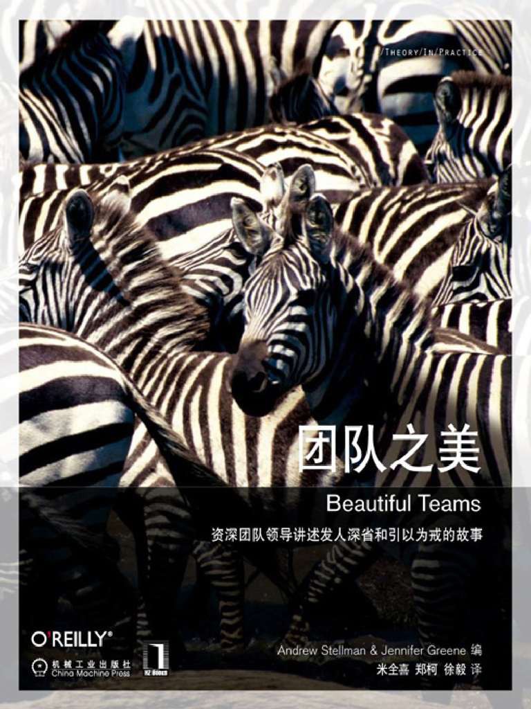 团队之美