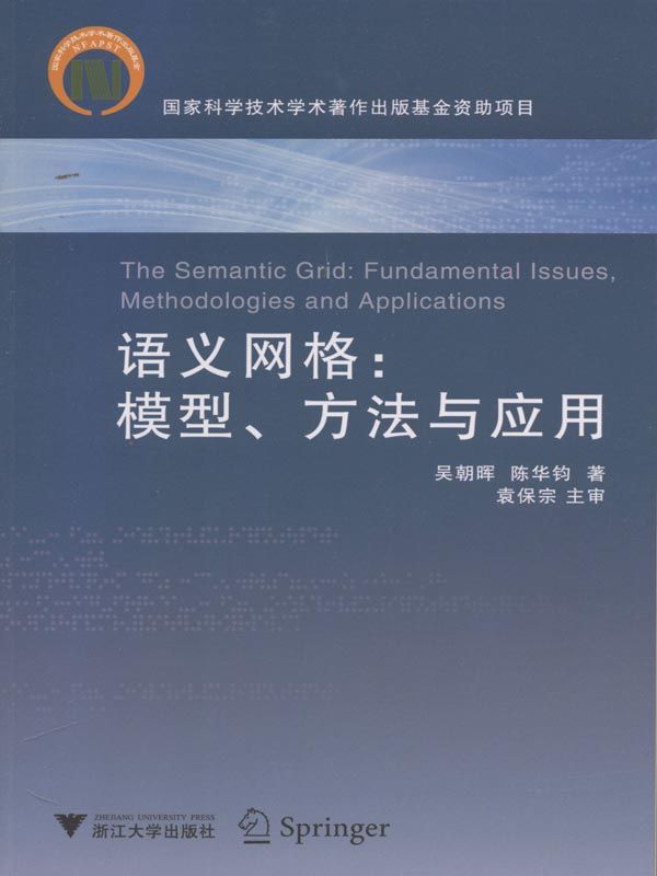 语义网格:模型方法与应用 (中国科技进展丛书)
