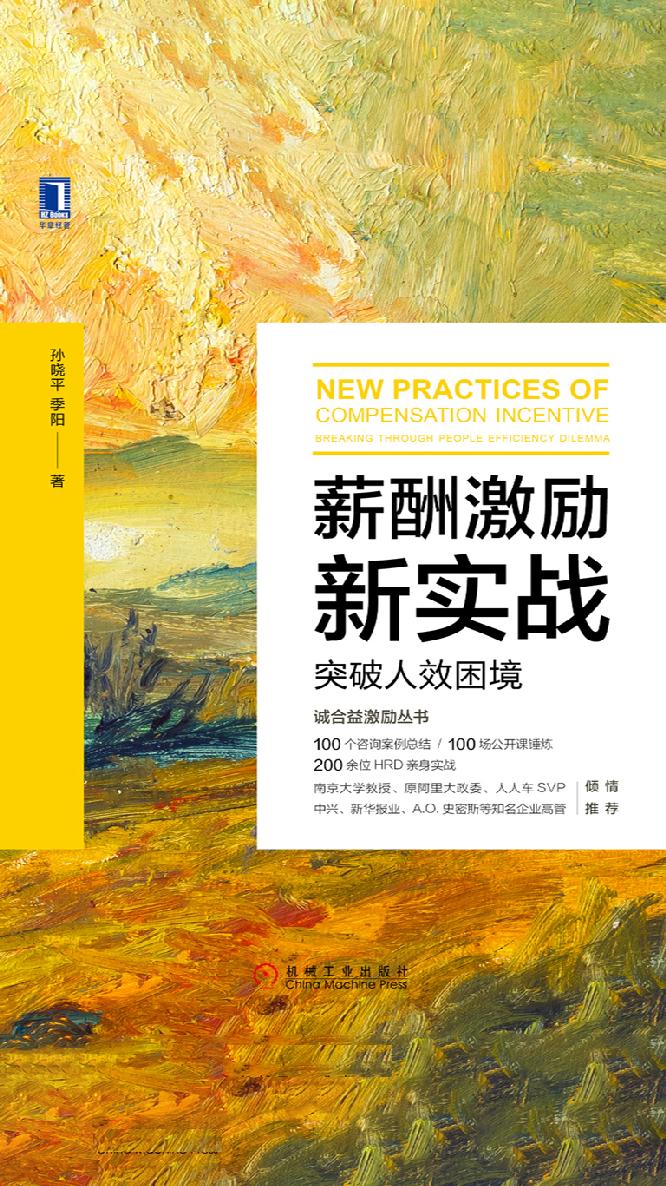 薪酬激励新实战：突破人效困境