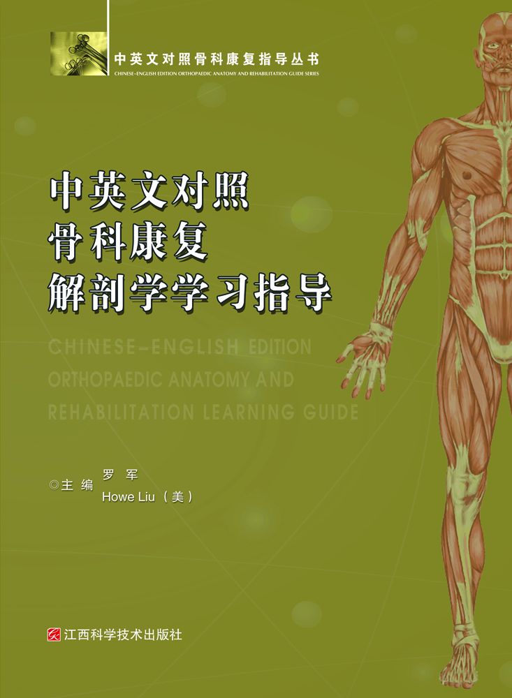 中英文对照骨科康复解剖学学习指导