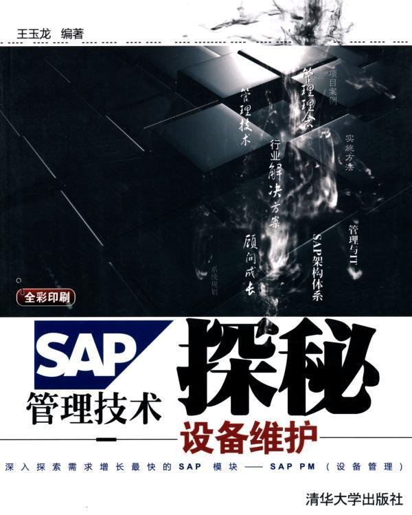 SAP管理技术探秘:设备维护(全彩印刷)