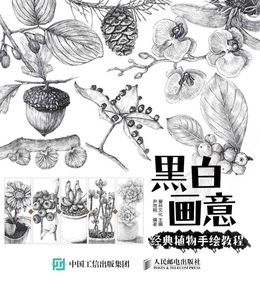 黑白画意——经典植物手绘教程