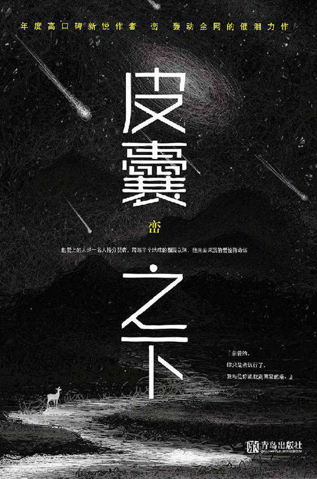 皮囊之下（年度高口碑新锐作者峦轰动全网的催泪力作。他爱上的人是一名人格分裂者，他用深沉的爱诠释命运。）