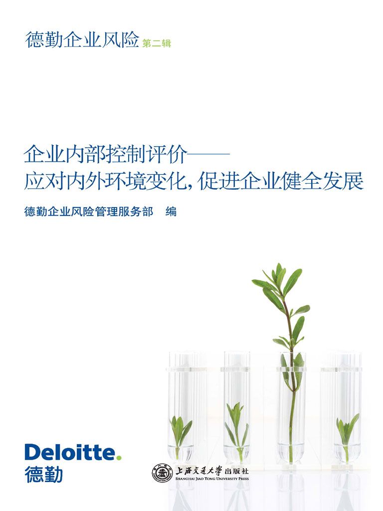 企业内部控制评价:应对内外环境变化,促进企业健全发展: 第2辑 (德勤企业风险)