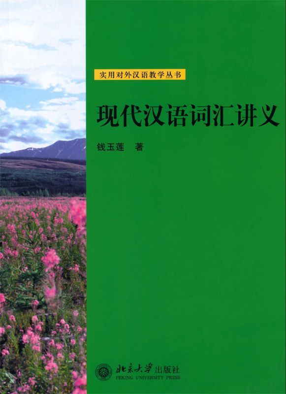 现代汉语词汇讲义 (实用对外汉语教学丛书)