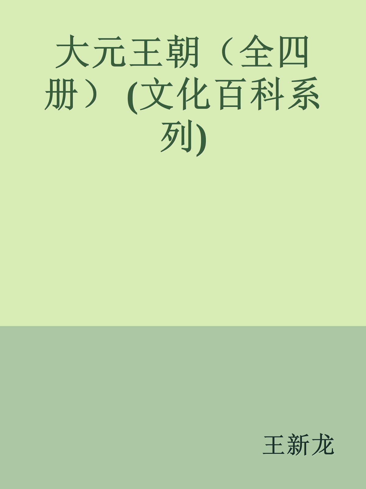 大元王朝（全四册） (文化百科系列)