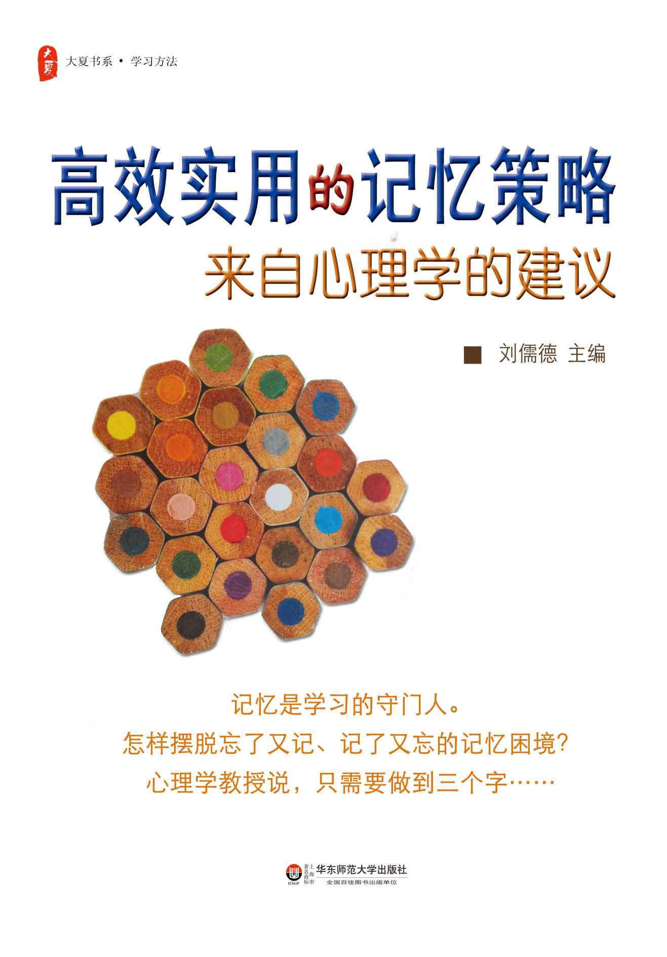 高效实用的记忆策略：来自心理学的建议 (大夏书系)