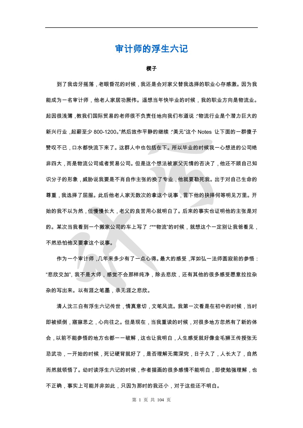 审计师的浮生六记