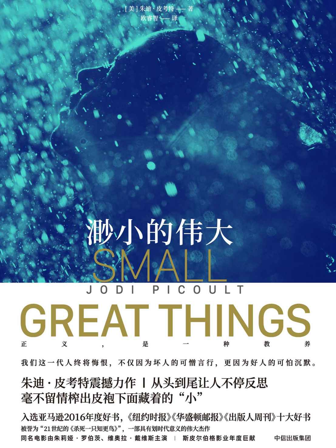 渺小的伟大（直击人心，拷问灵魂，被誉为21世纪的《杀死一只知更鸟》，一部具有划时代意义的伟大杰作。）