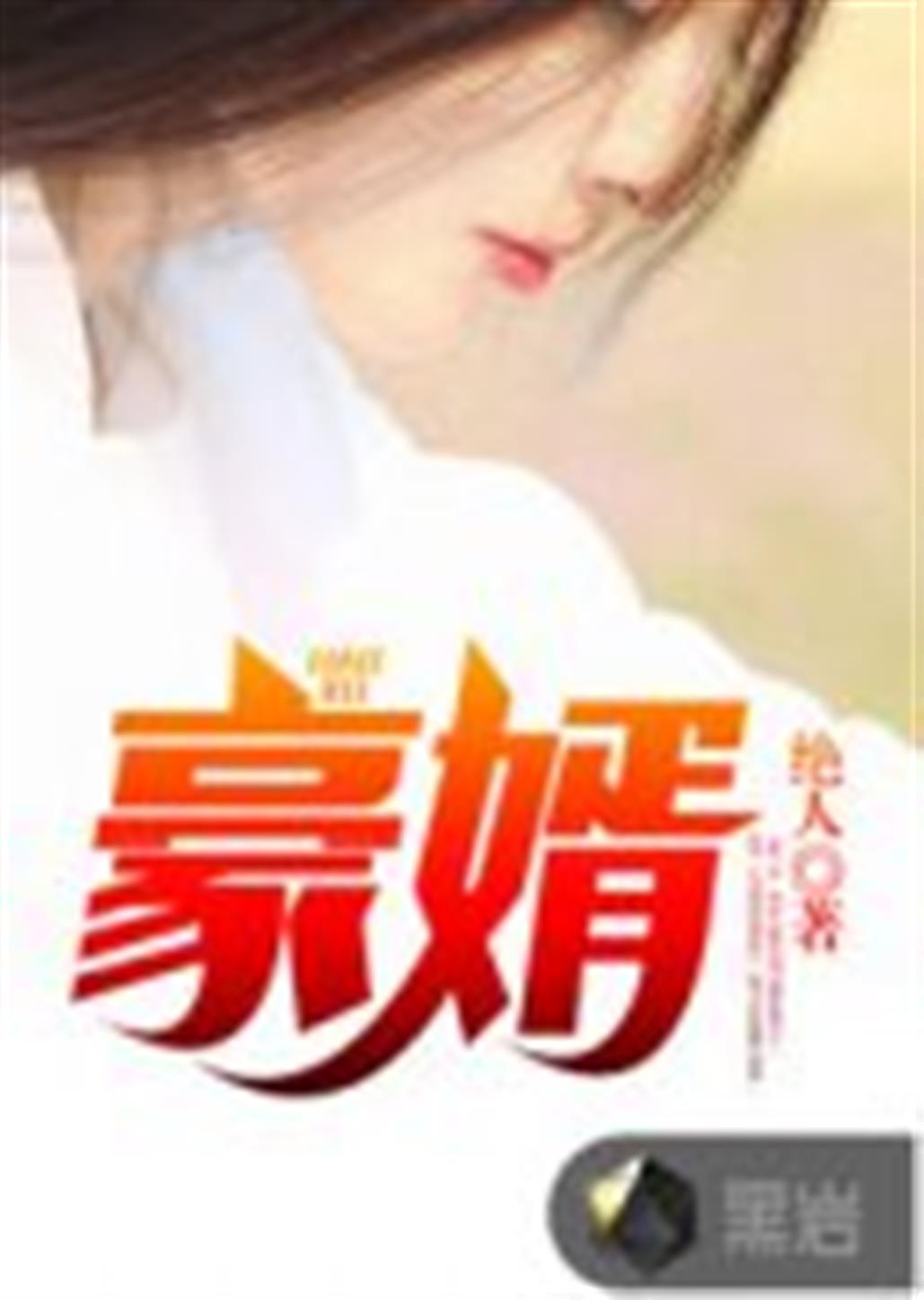 豪婿