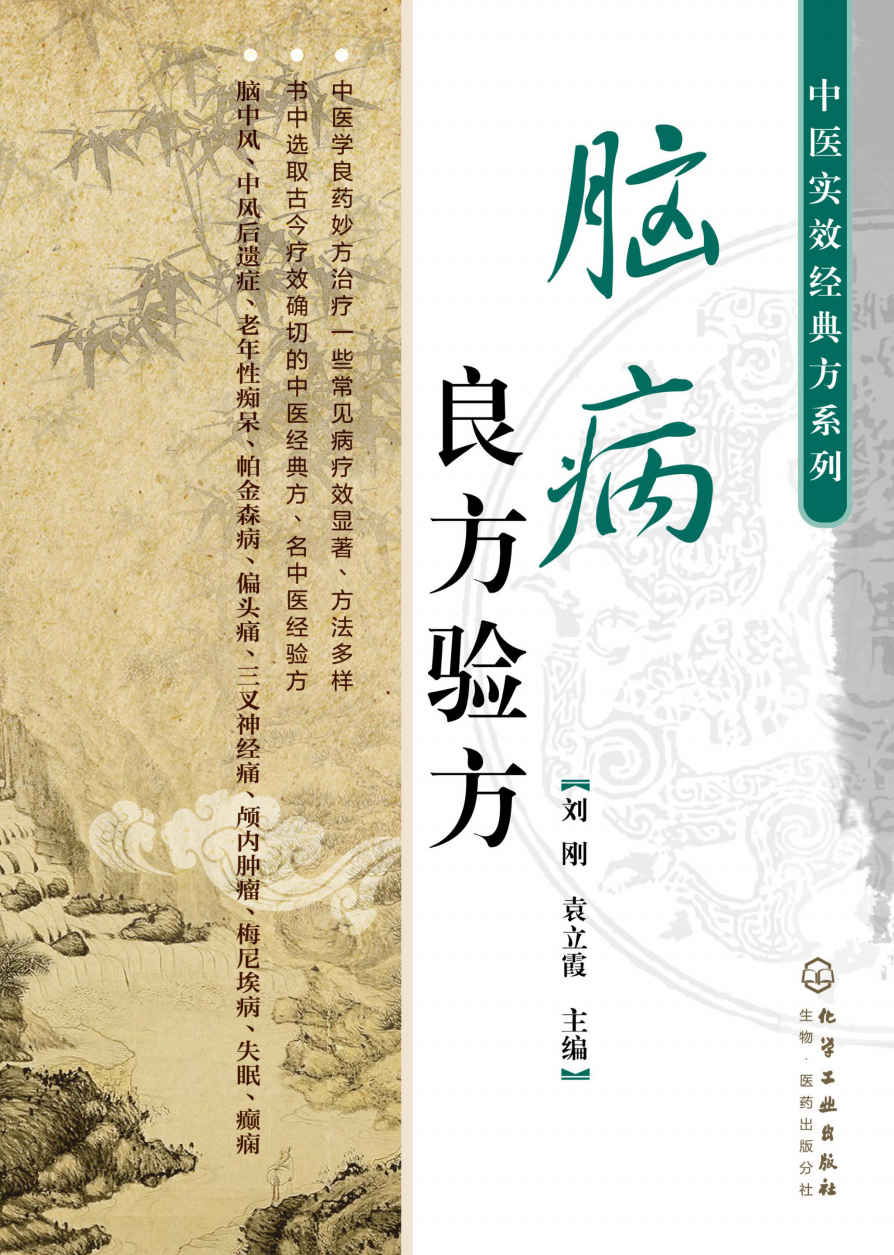 中医实效经典方系列--脑病良方验方