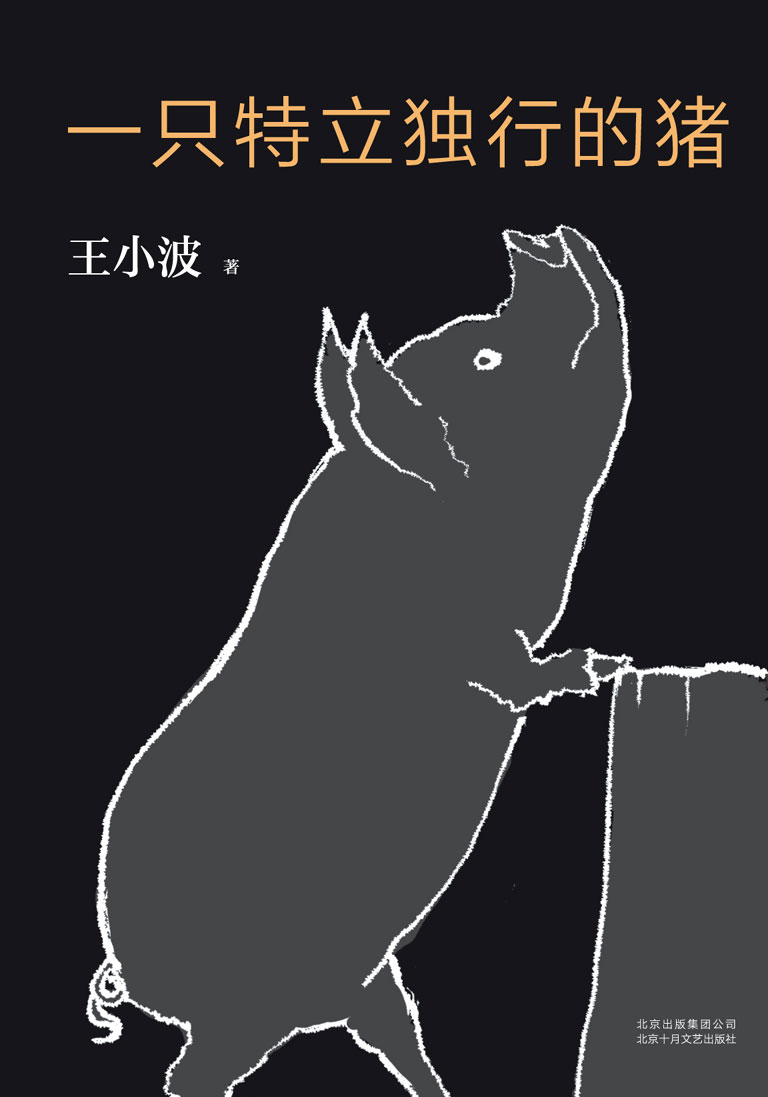 王小波：一只特立独行的猪（李银河独家授权，并亲自校订全稿。王小波杂文精选集，逝世二十周年精装纪念版！幽默中充满智性。）