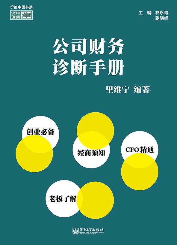 价值中国书系:公司财务诊断手册