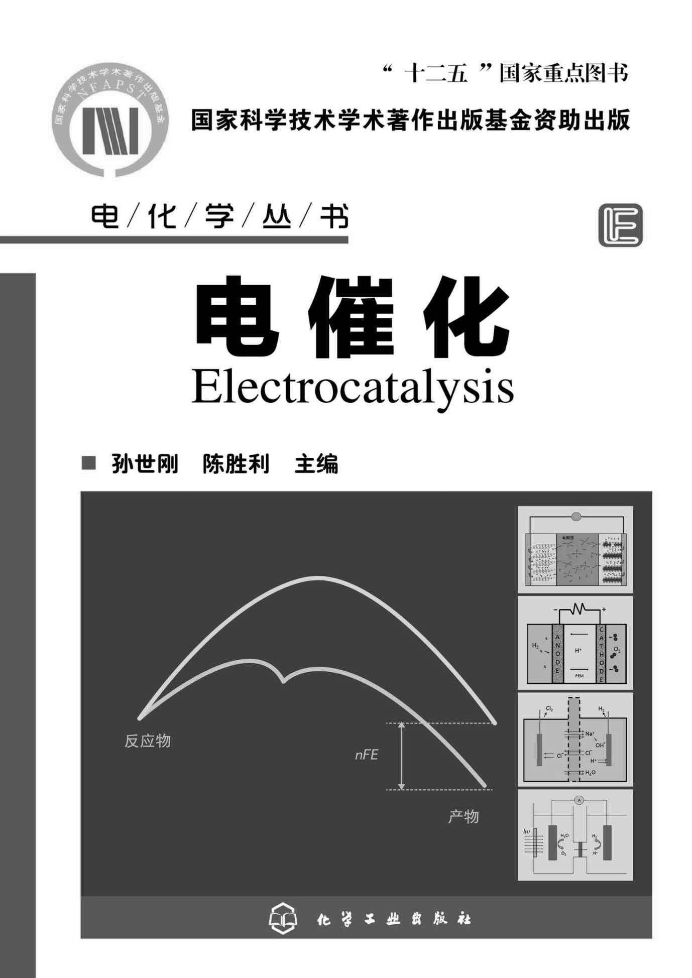 电化学丛书:电催化