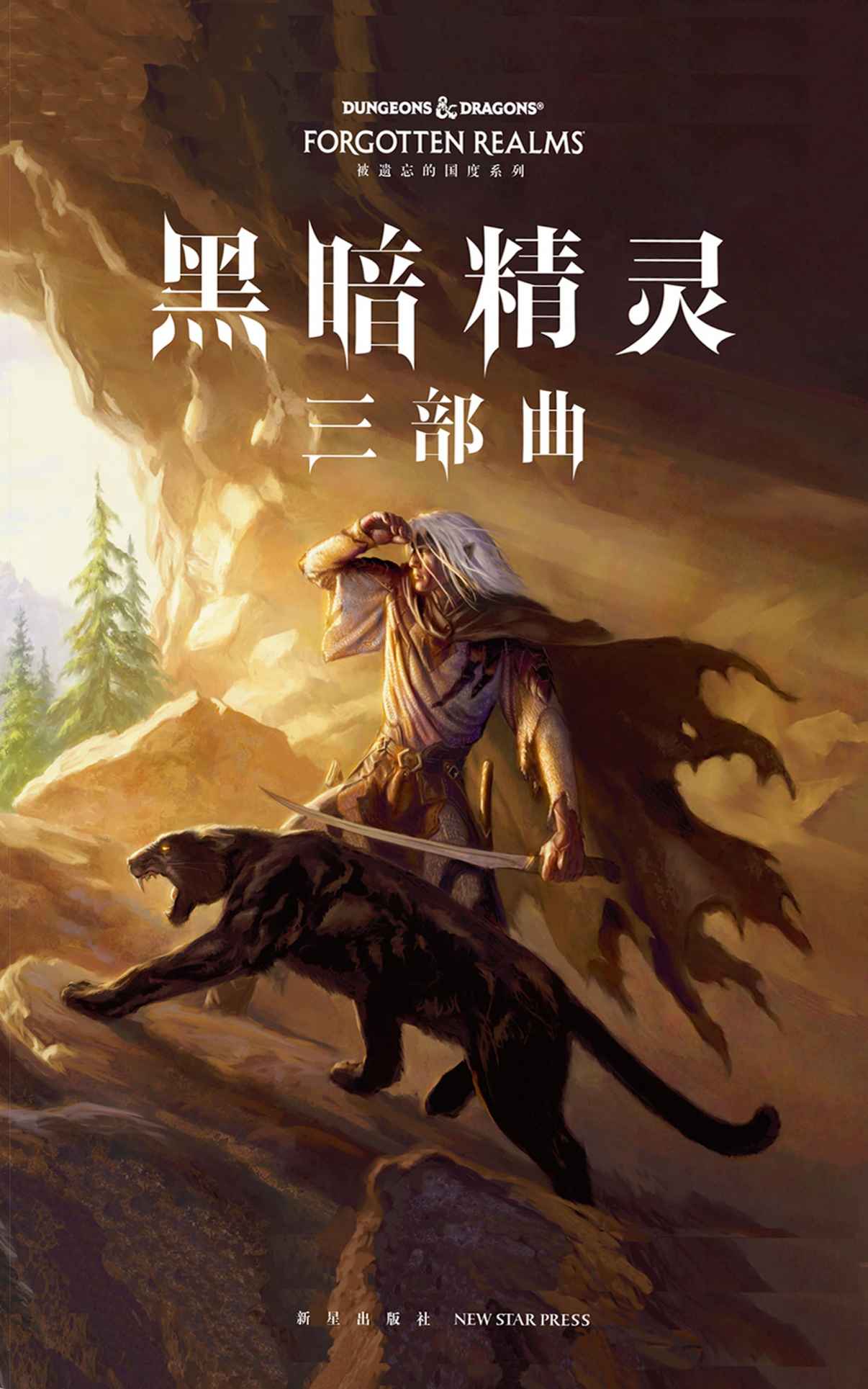 黑暗精灵三部曲（世界著名奇幻大师R.A.萨尔瓦多最具盛名的作品，与《冰与火之歌》、《魔戒》、《龙枪》齐名，享誉世界30年的奇幻经典）