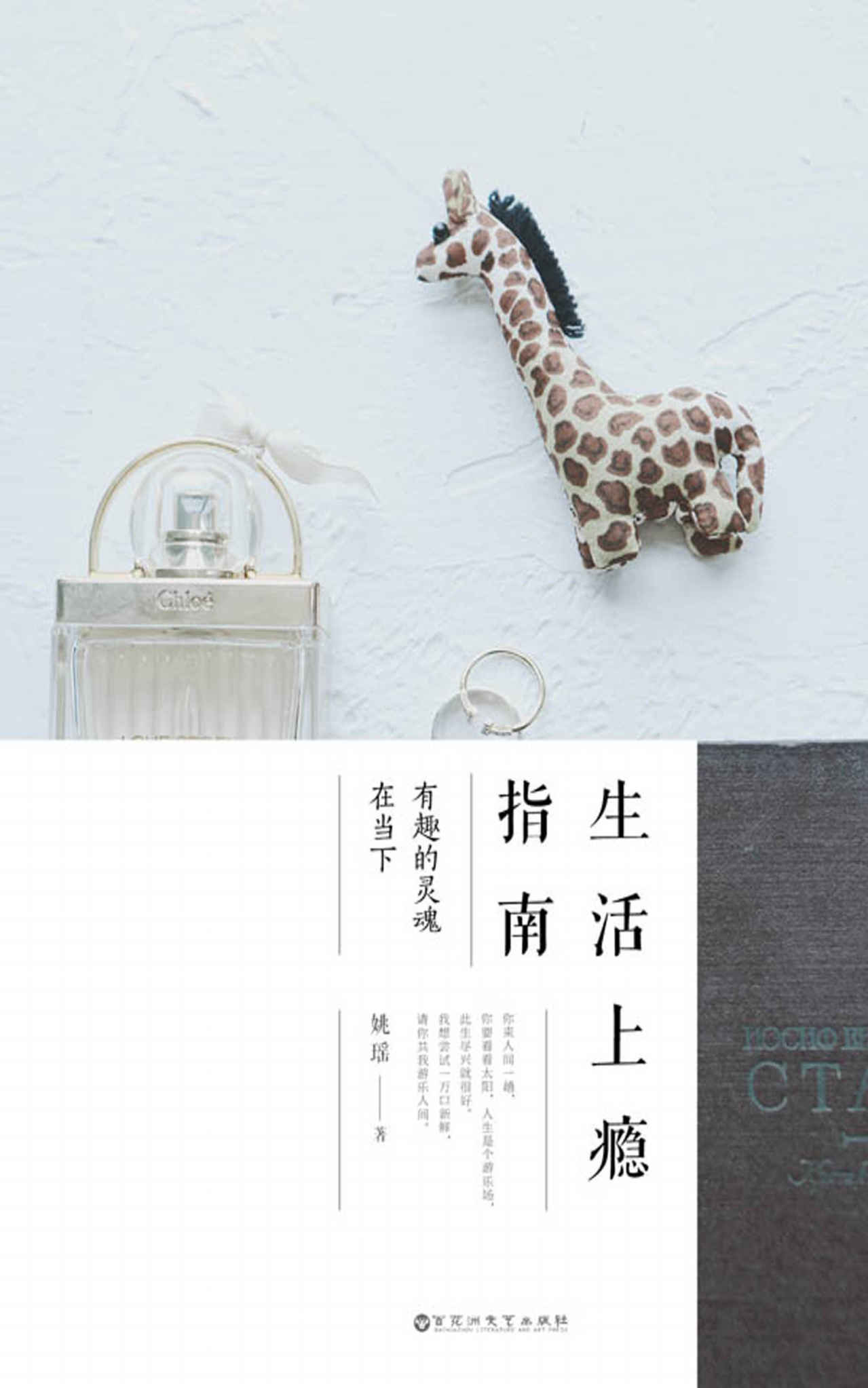 生活上瘾指南：有趣的灵魂在当下（好看的皮囊千篇一律，有趣的灵魂万里挑一。 做手账、撸猫、摄影、不断去旅行……有趣又好看姚瑶分享了自己生活中的小趣味以及旅行中的感触）