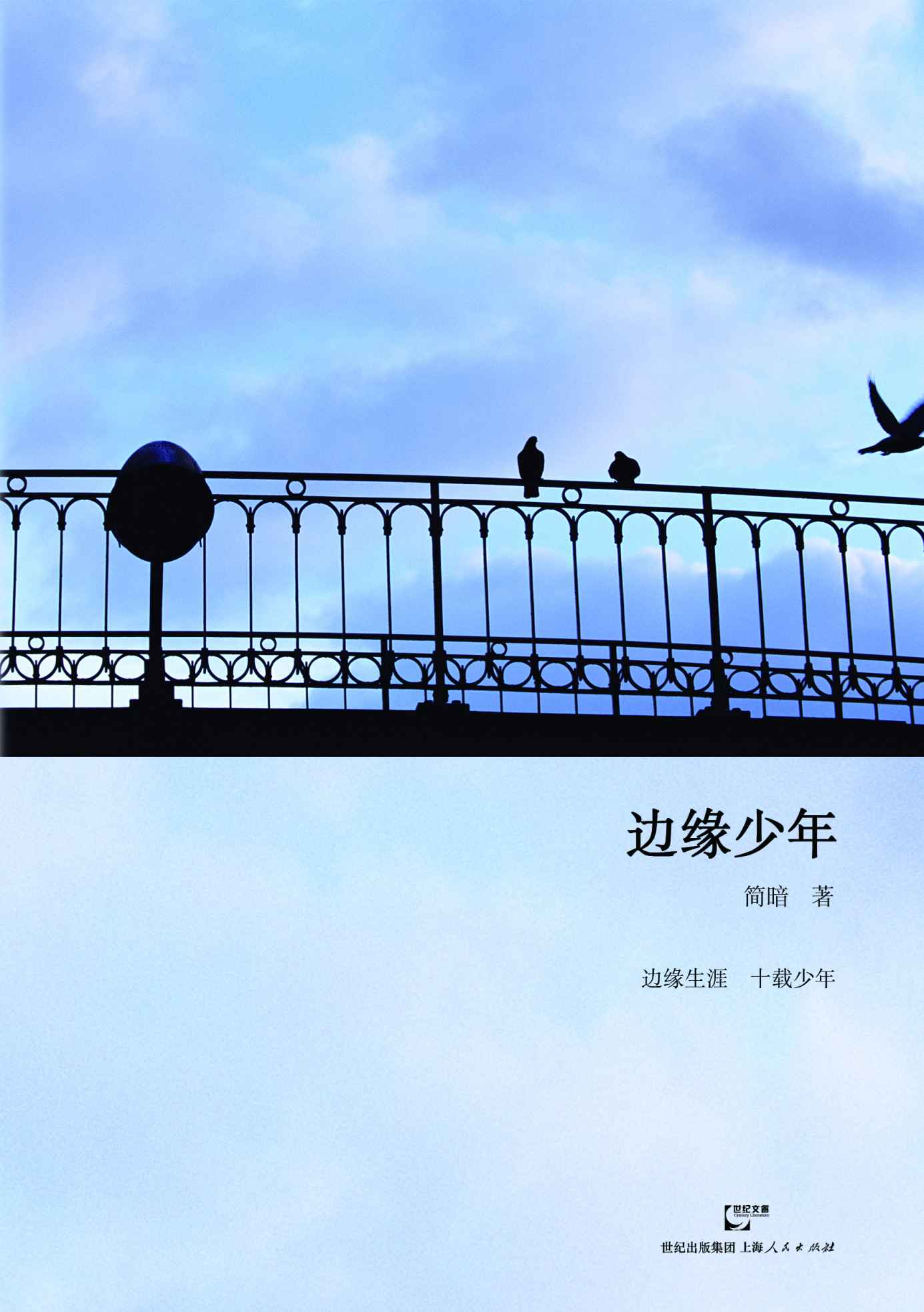 边缘少年