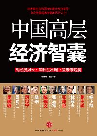 中国高层经济智囊