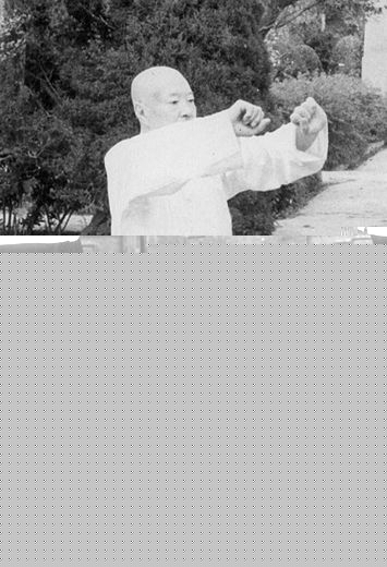 杨氏太极拳诠真