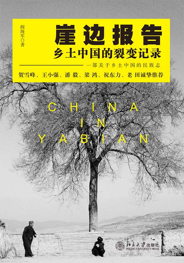 崖边报告:乡土中国的裂变记录 (沙发图书馆)