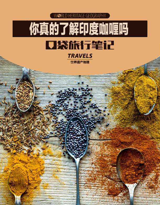 你真的了解印度咖喱吗 (世界遗产地理·口袋旅行笔记)