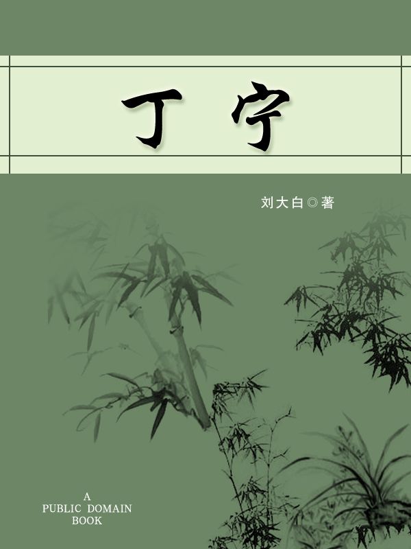 丁宁