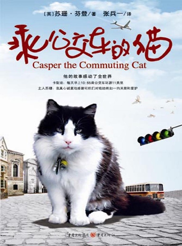 乘公交车的猫