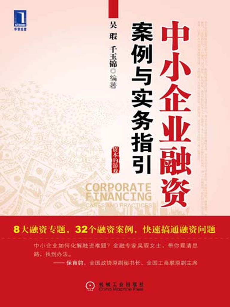 中小企业融资:案例与实务指引 (资本的游戏)