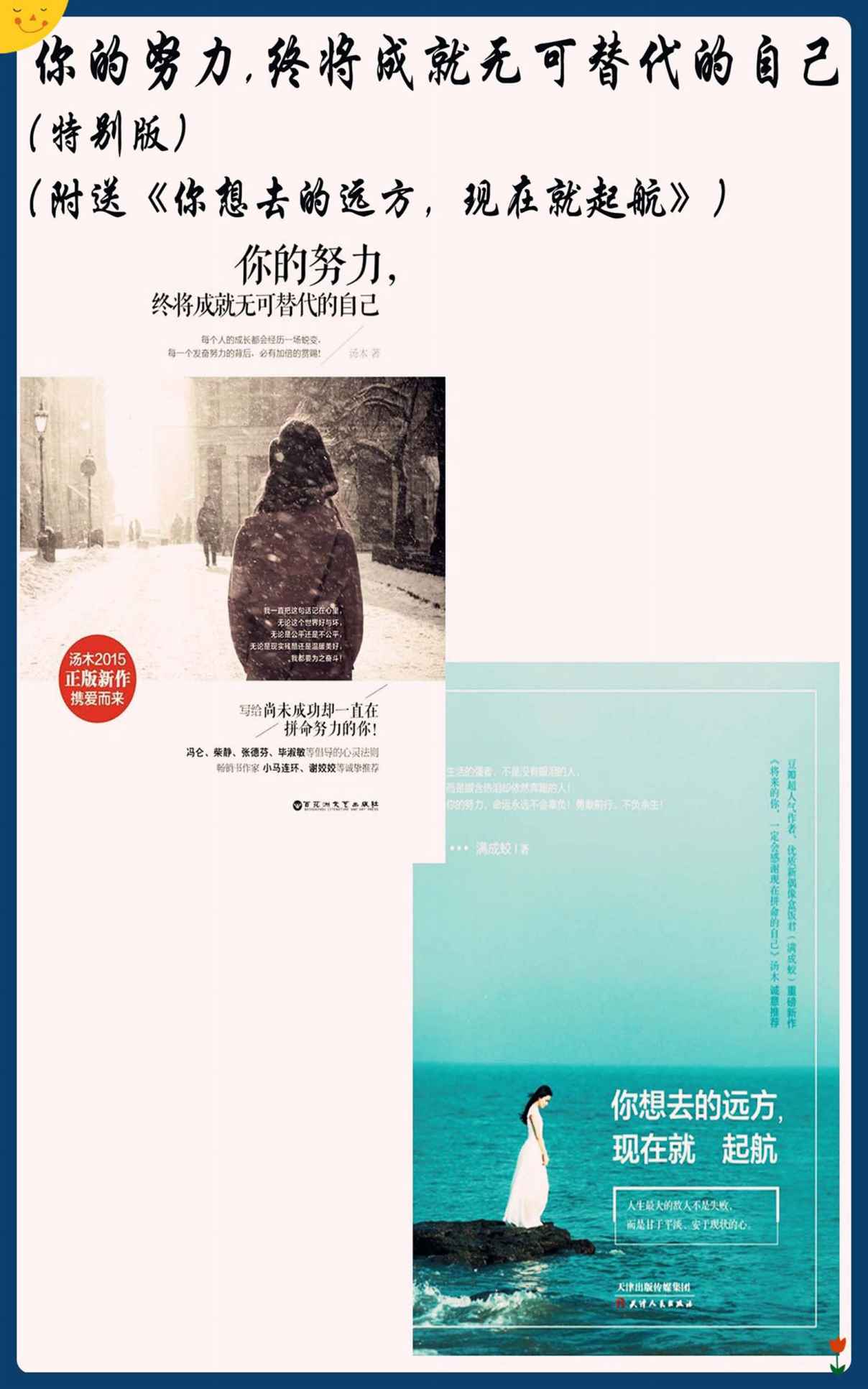 你的努力,终将成就无可替代的自己（特别版）（激励千万读者的心灵治愈能量书） (人生需要正能量-必读励志书系列)