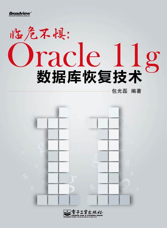 临危不惧:Oracle 11g数据库恢复技术