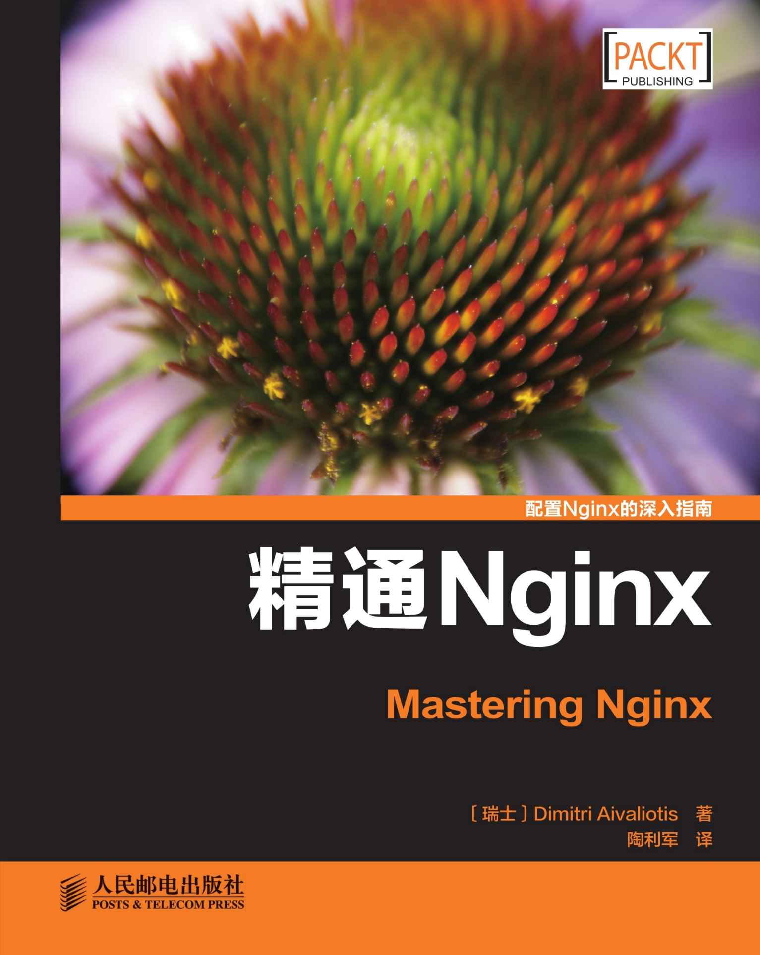 精通Nginx