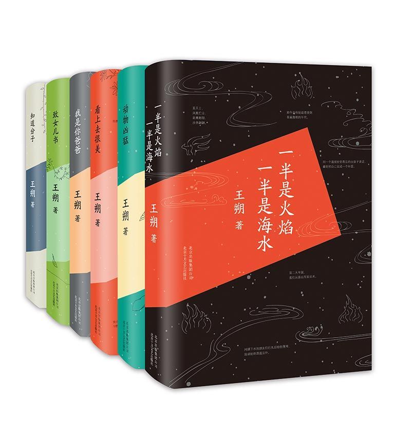 王朔作品精选集