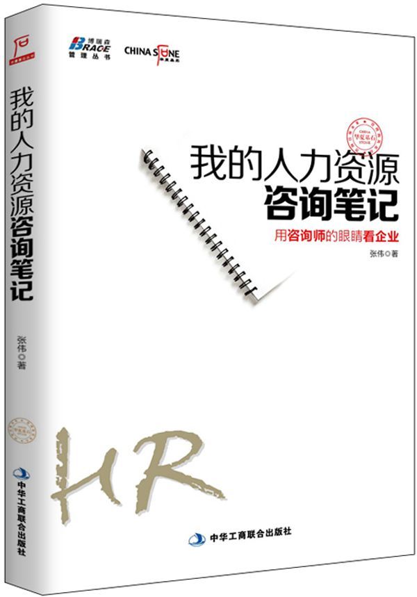 我的人力资源咨询笔记 (博瑞森管理图书)
