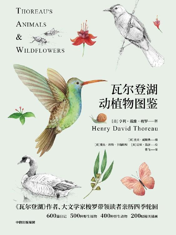 瓦尔登湖动植物图鉴：动物篇+植物篇（2册）