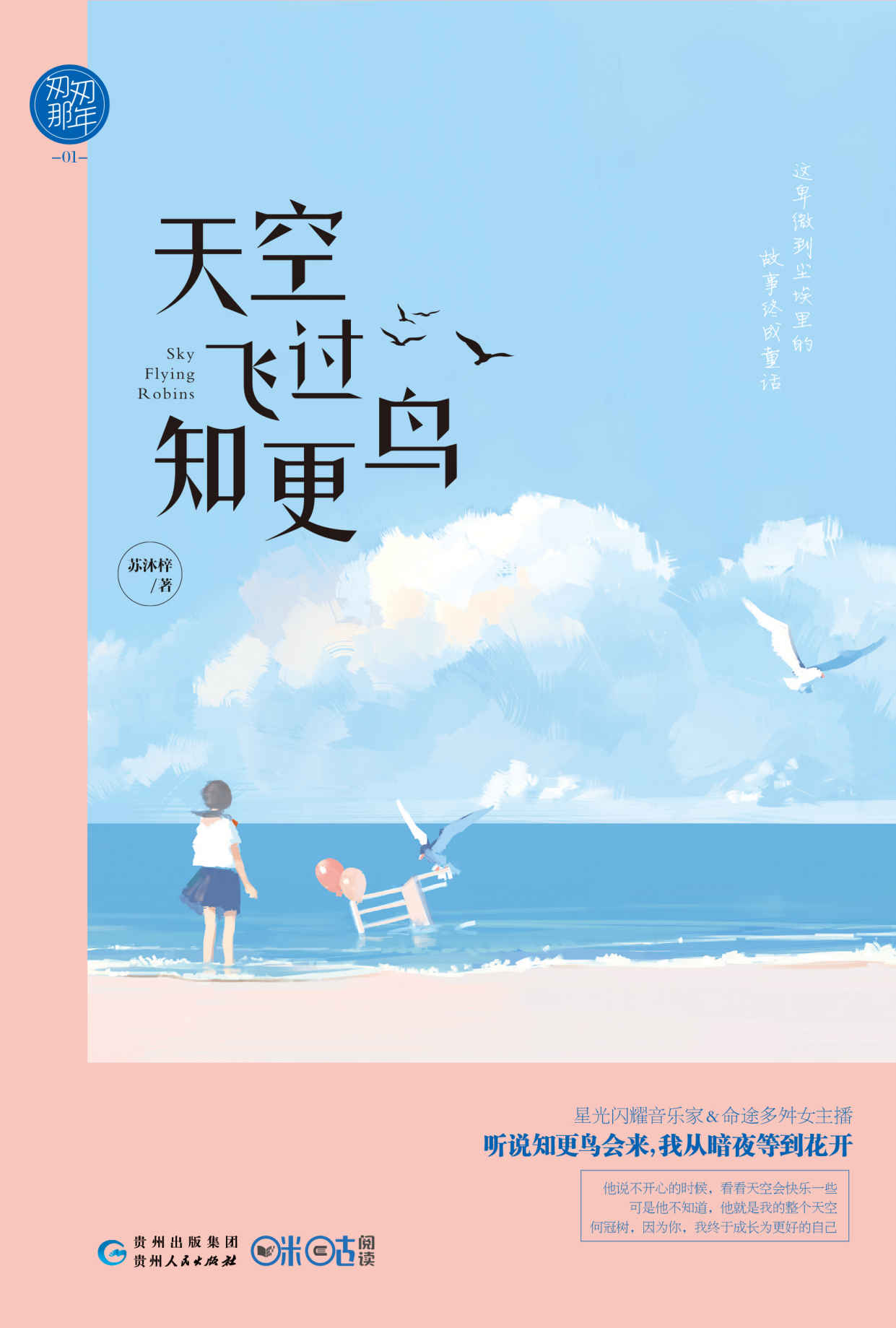 天空飞过知更鸟 (匆匆那年01：星光闪耀音乐家&命途多舛女主播，青春暖伤的唯美故事，最美的时光最执着的暗恋。)