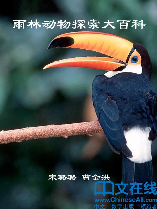 雨林动物探索大百科 (神奇的生物链)