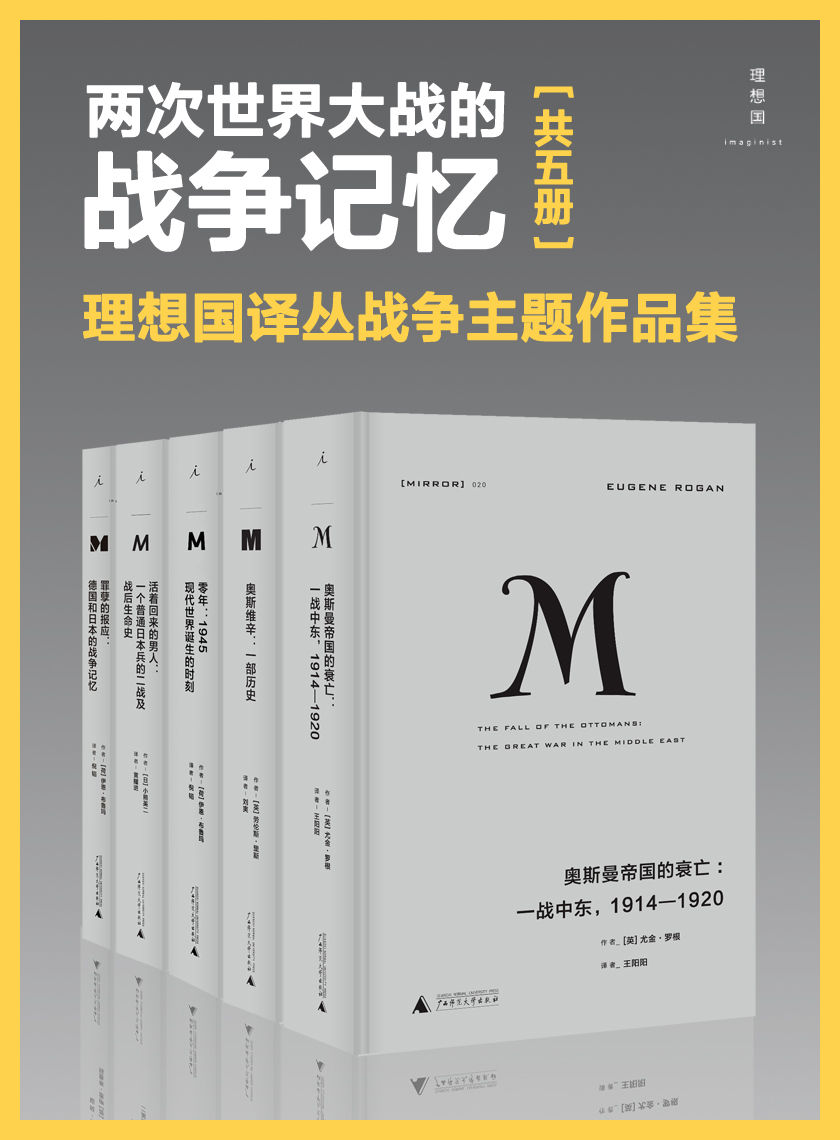 理想国译丛-两次世界大战的战争记忆（理想国译丛战争主题套装共5册）
