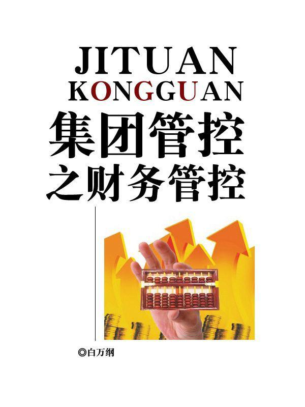 集团管控之财务管控 (华彩咨询文库)