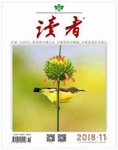 读者201811