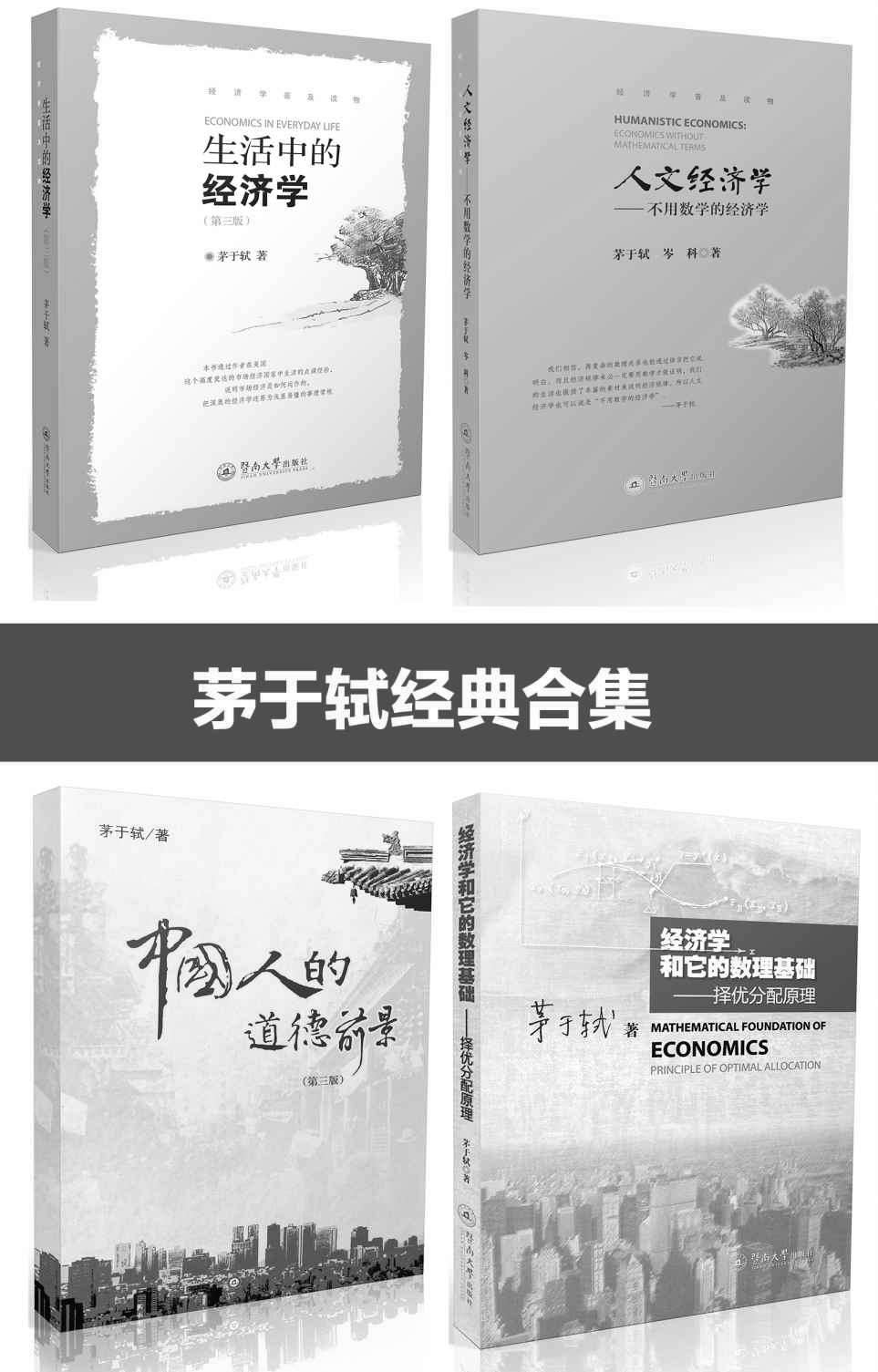 茅于轼经典合集（套装4册：生活中的经济学；人文经济学-不用数学的经济学；中国人的道德前景；经济学和它的数理基础-择优分配原理））