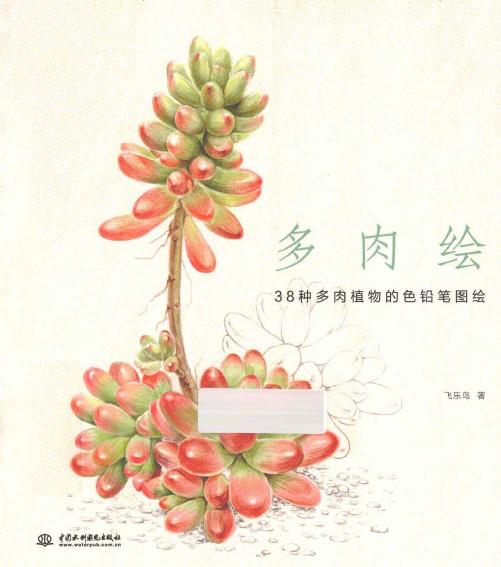 多肉绘