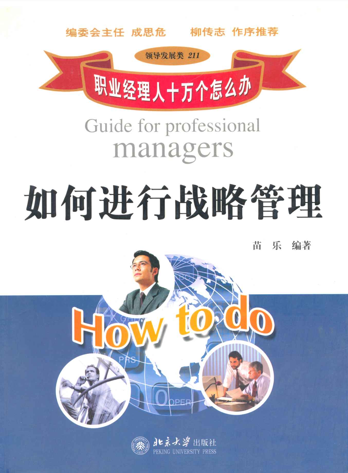 职业经理人十万个怎么办:如何进行战略管理 (职业经理人十万个怎么办·领导发展类：11)