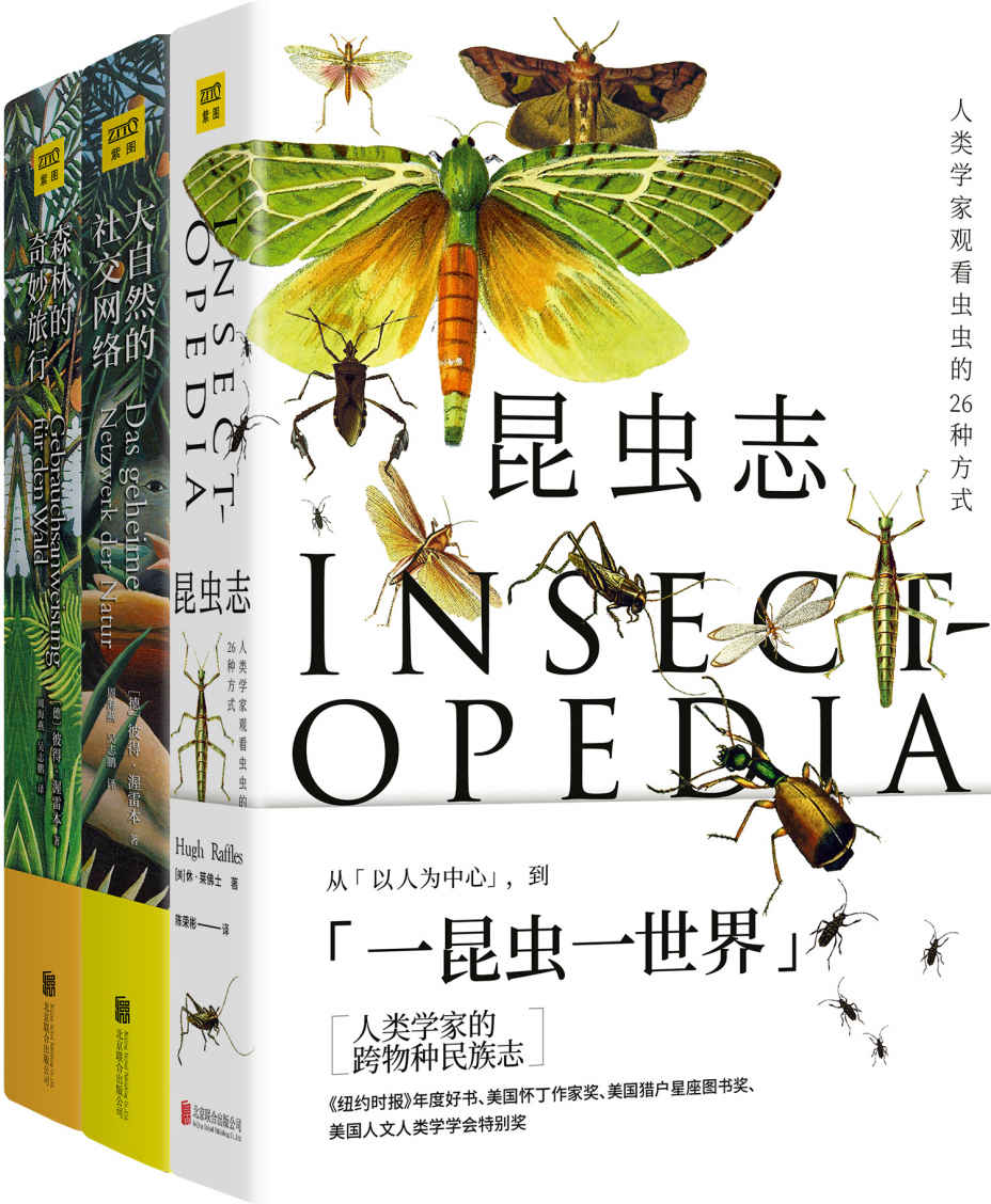 自然万物科普百科：昆虫志+大自然的社交网络+森林的奇妙旅行(套装共3册)
