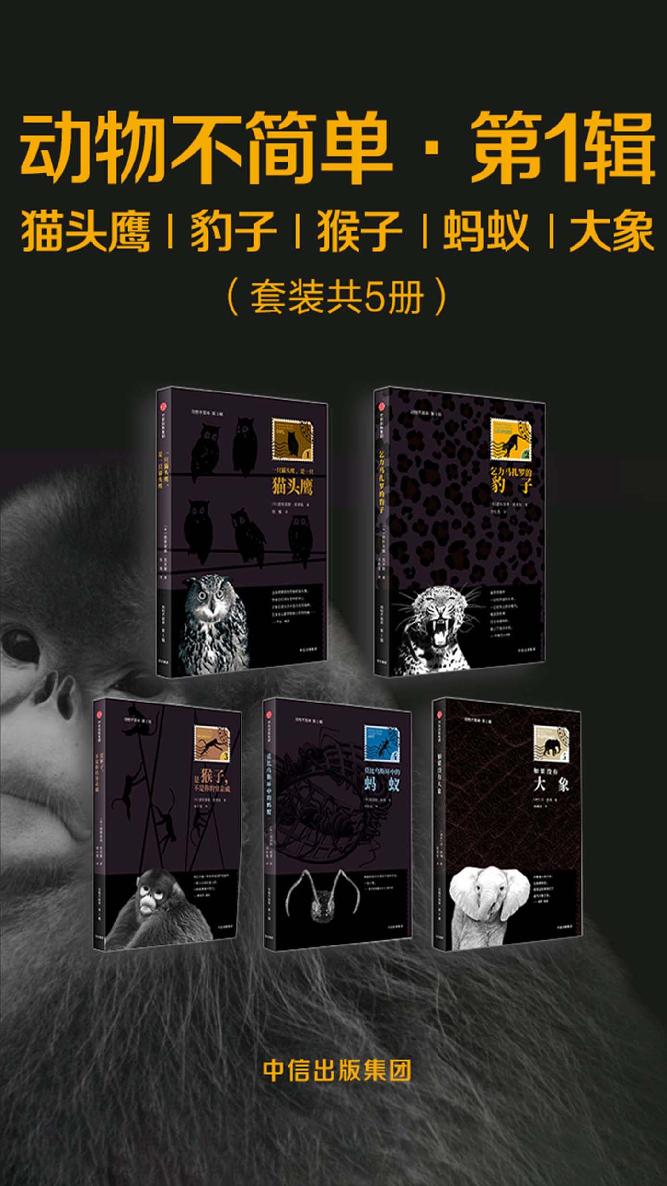 动物不简单·第1辑：猫头鹰、豹子、猴子、蚂蚁、大象