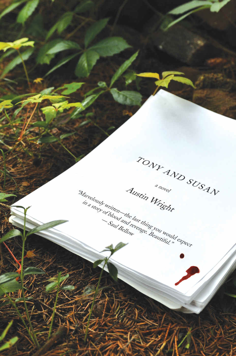 Tony and Susan: The riveting novel that inspired the new movie NOCTURNAL ANIMALS