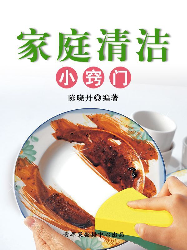 家庭清洁小窍门（最实用的居家小书） (文化百科丛书)