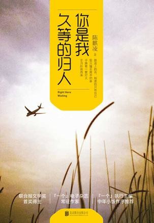 你是我久等的归人