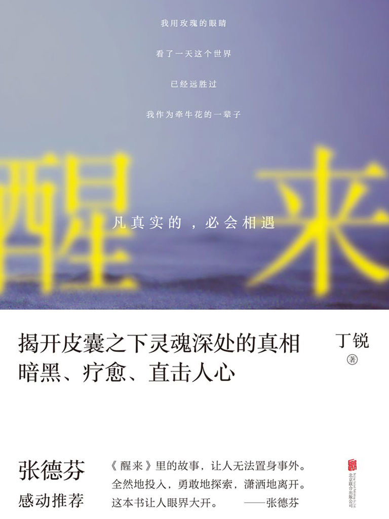 醒来：凡真实的，必会相遇（著名身心灵作家张德芬被其深深触动并作序推荐！）