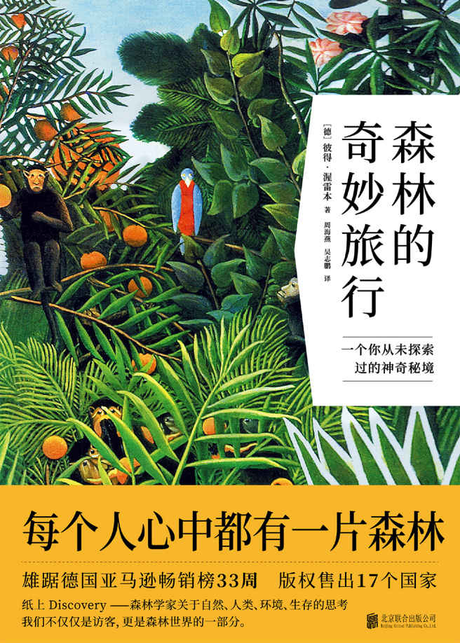 森林的奇妙旅行（荒野求生文艺版 ）